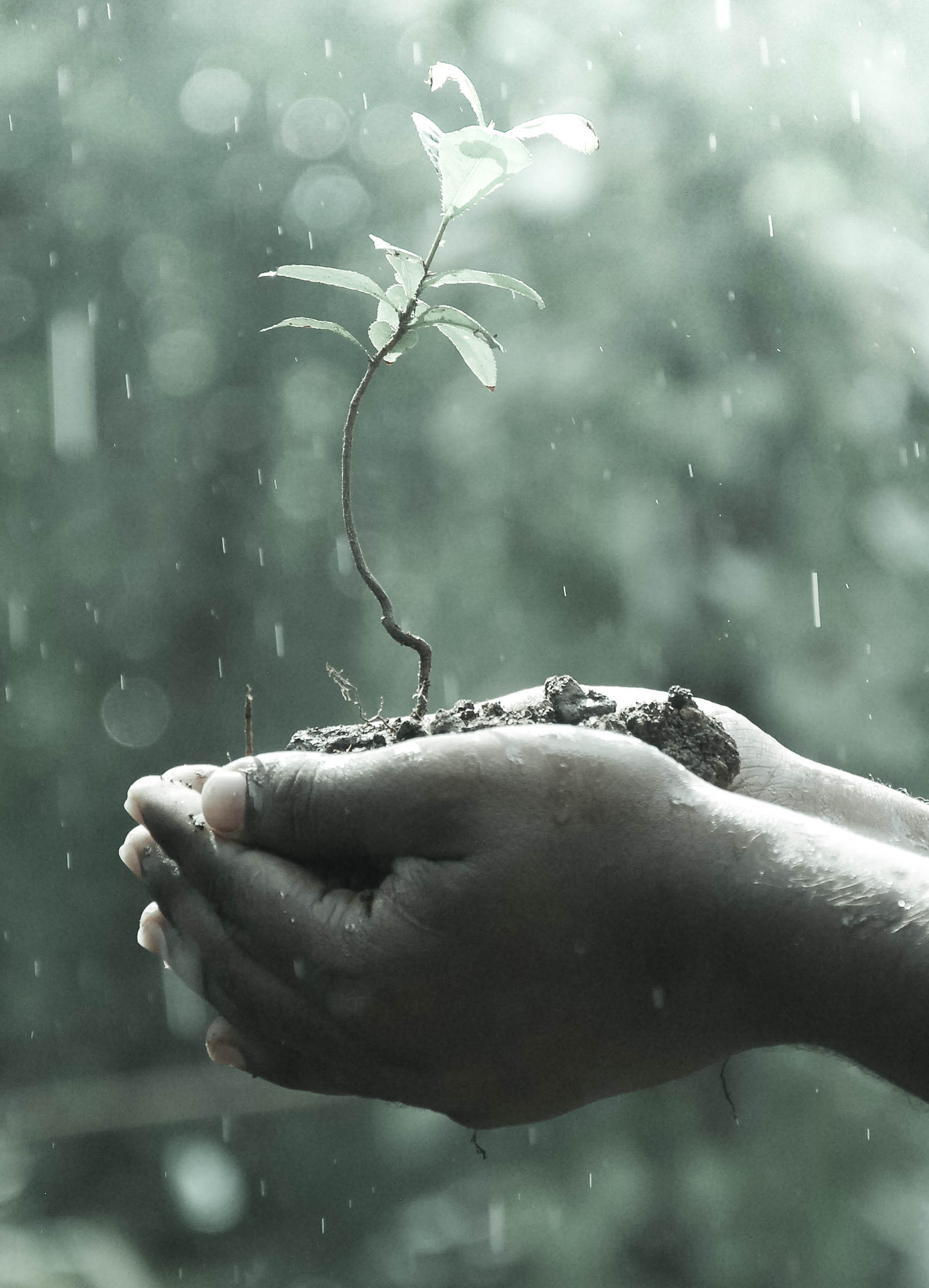 Invisalign Financing Payment Plans in Lakeland